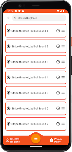 Stripe-throated bulbul Sounds