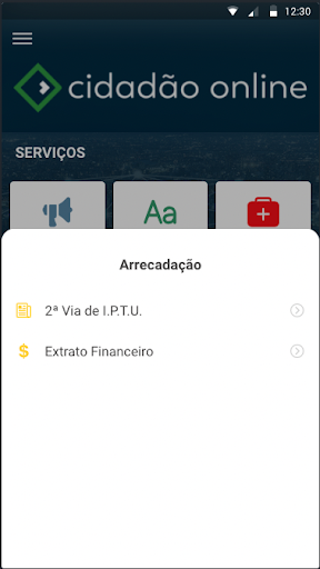 Cidadão Online Screen 2