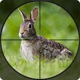 Rabbit Hunting Challenge 2019 - Shooting Games FPS icon