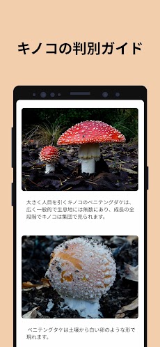 Picture Mushroom - 1秒キノコ図鑑のおすすめ画像4