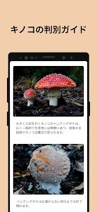 Picture Mushroom - 1秒キノコ図鑑