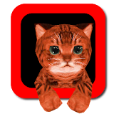 Cat simulator 3D icon