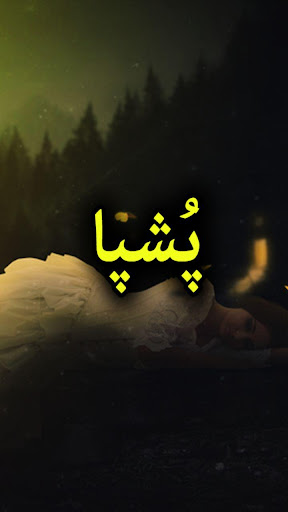 Android application Pushpa Novel by Shahzaib Butt screenshort