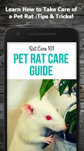 How to Take Care of a Pet Rat (Guide) 1.5 APK + Mod (Free purchase) for Android