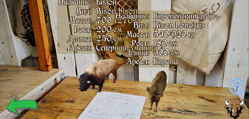 Зубр на уроке Screen 3