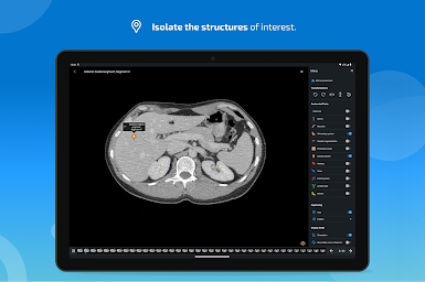 e-Anatomy