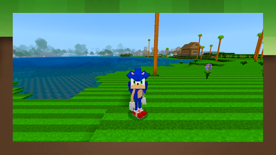 Sonic Land Hedgehog－MC PE Mod