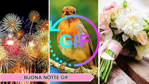 Good night Gif Italian Wishes Screen 2
