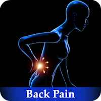 Back Pain Everything You Need