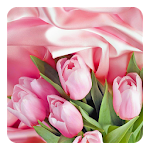 Cover Image of Télécharger Pink Roses Live Wallpaper 3.6 APK