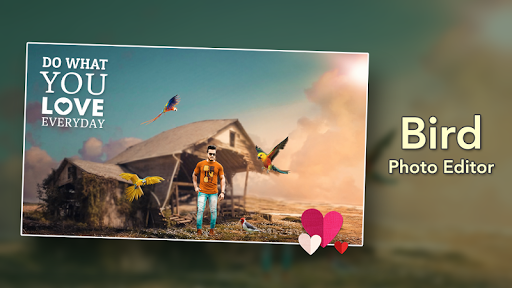 Android application Bird Photo Editor screenshort