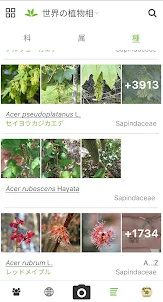 プラントネット (PlantNet) 植物図鑑アプリ