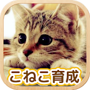 ねこ育成ゲーム - 完全無料！子猫をのんびり育てるアプリ！かわいいねこゲーム！