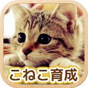 ねこ育成ゲーム 完全無料 子猫をのんびり育てるアプリ かわいいねこゲーム Google Play Review Aso Revenue Downloads Appfollow