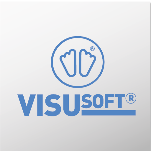 VisuSoft B logo