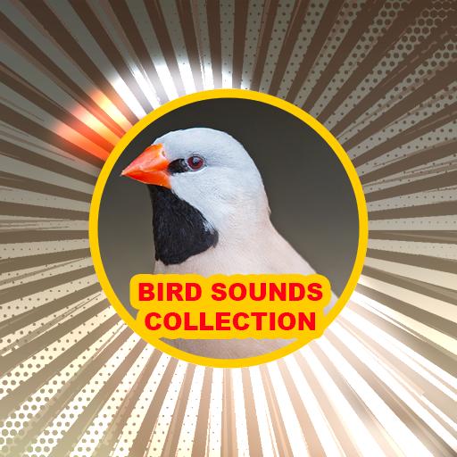 Bird: Sound Collections Screen 3