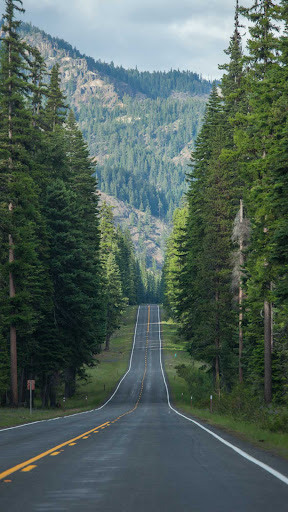 Washington Wallpaper