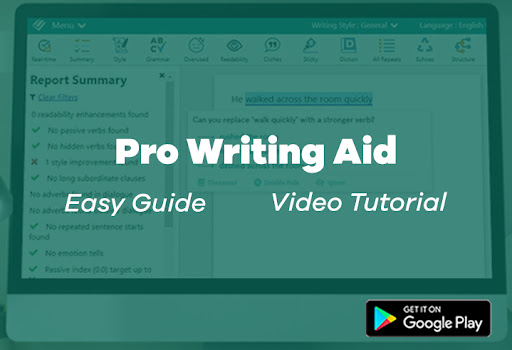 Pro Writing Aid Coach Guide 6