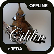 Top 36 Music & Audio Apps Like Masteran Burung Cililin Offline - Best Alternatives