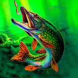 Клёвая рыбалка - сообщество icon