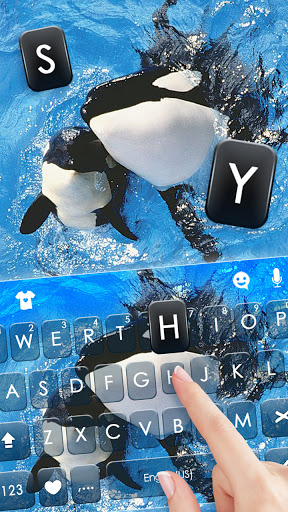 Killer Whales Keyboard Backgro Screen 2