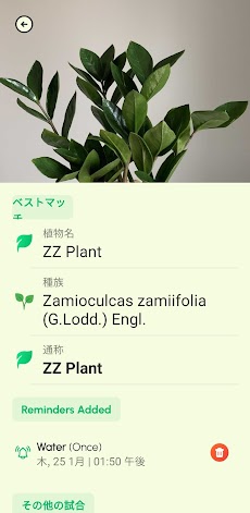 写真アプリからの植物識別子のおすすめ画像5