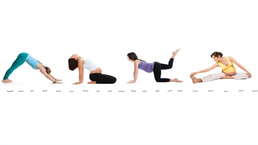Pregnancy Workouts