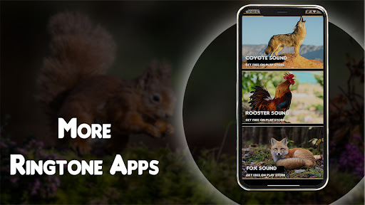 Call Squirrel Hunting