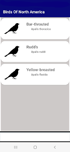 Birds Of USA (Check List)