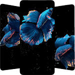 Cover Image of Download Betta Fish  APK