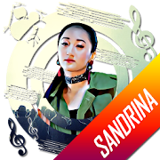 Goyang Dua Jari (Sandrina Remix)