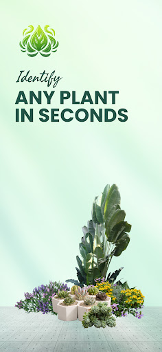 PlantVerse - Plant Identifier
