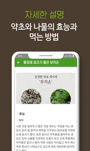 증상별 약초와 효능 - 신체 부위와 증상별 약초, 나물 Screen 3