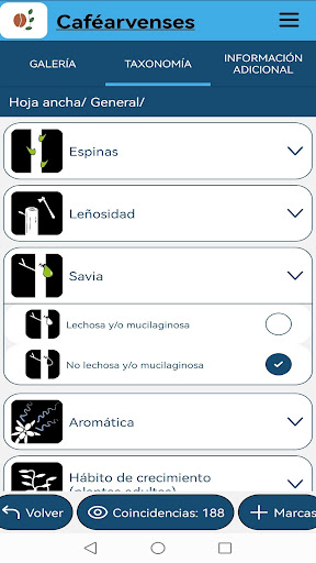 Caféarvenses Screen 3