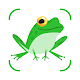 Frog Identifier: Toad, Frog ID Download on Windows
