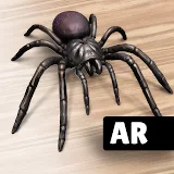AR Spiders & Co: Scare friends icon