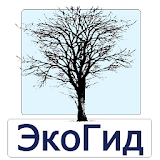 ЭкоГид: Деревья зимой - старая версия icon