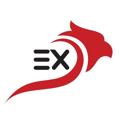 Eagle Express Download on Windows