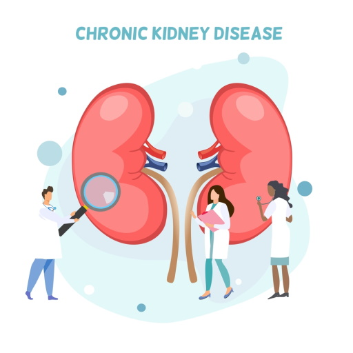 Chronic Kidney Disease Download on Windows
