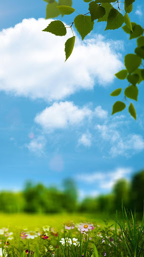 Spring Live Wallpaper Screen 3