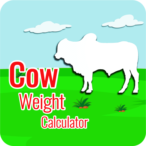 Cow Weight Calculator