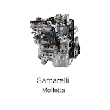 Samarelli icon