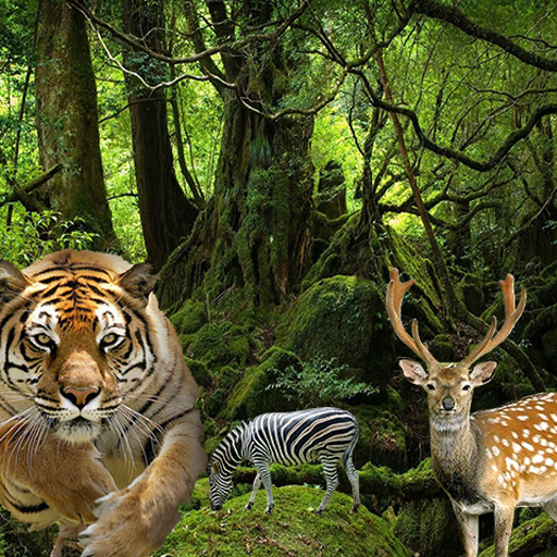 Angry Leopard - Chase Animals logo