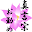 真言宗のお勤め Download on Windows