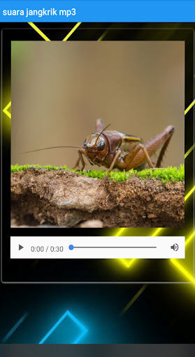 suara jangkrik mp3 Screen 2
