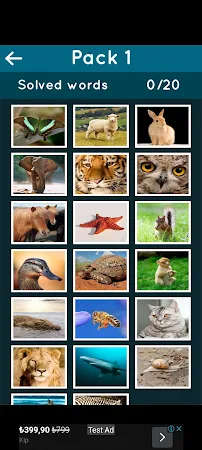 Game screenshot Photo Word Puzzle - Picture Gu hack