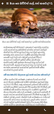 Pet Care Sinhalenのおすすめ画像3