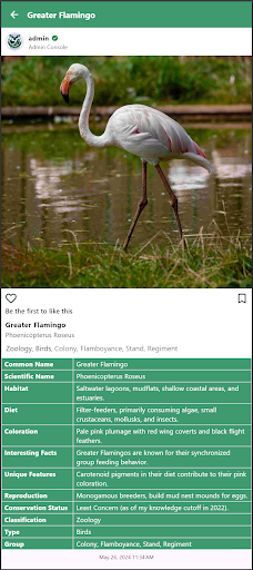 WILDLIFE Screenshot