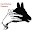 Hand Shadow Puppets Ideas Download on Windows
