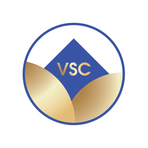 VSC Trade logo
